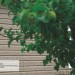 Сайдинг Ю-Пласт TIMBERBLOCK Пихта (Тимберблок) Cахалинская купить в Сыктывкаре