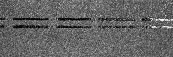 Коньково-карнизная черепица Docke Premium, черника купить в Сыктывкаре