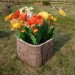 Цветник КАНЬОН купить в Сыктывкаре