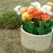Цветник КАНЬОН купить в Сыктывкаре