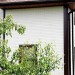 Фасадная панель Grand Line Сланец бежевый купить в Сыктывкаре