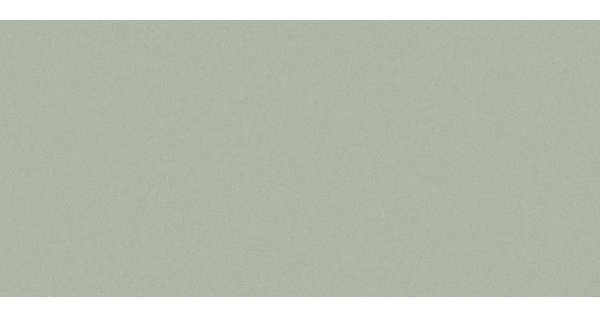 Сайдинг CEDRAL smooth (гладкий) С06 купить в Сыктывкаре